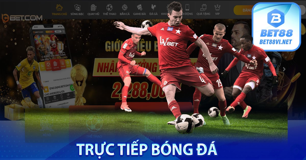 Trực tiếp bóng đá 88 - Xem trực tiếp bóng đá hôm nay