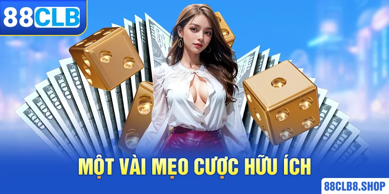 Tài Xỉu MD5 - Hướng Dẫn Cách Chơi Chi Tiết Từ Cao Thủ