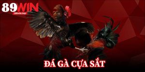 89WIN - Link Nhà Cái Uy Tín 89WIN.COM Mới Nhất 2026