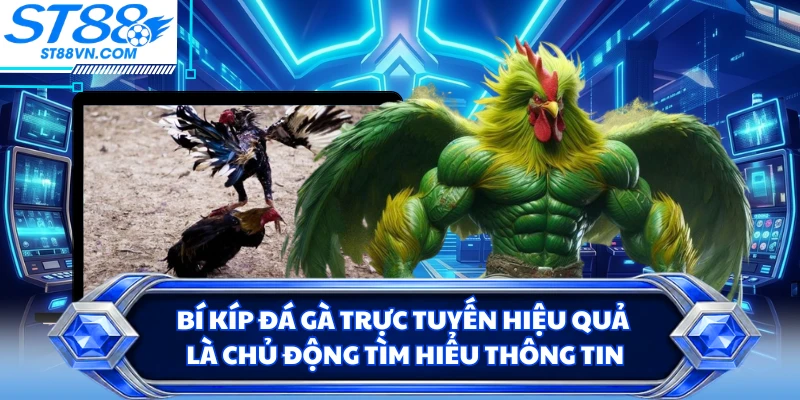 Đá Gà Trực Tuyến ST88 - Trải Nghiệm Theo Dõi Trận Đấu Linh Hoạt