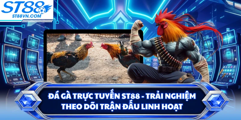 Tin Tức ST88 - Cập Nhật  Thông Tin Giải Trí Mới, Chuẩn Xác