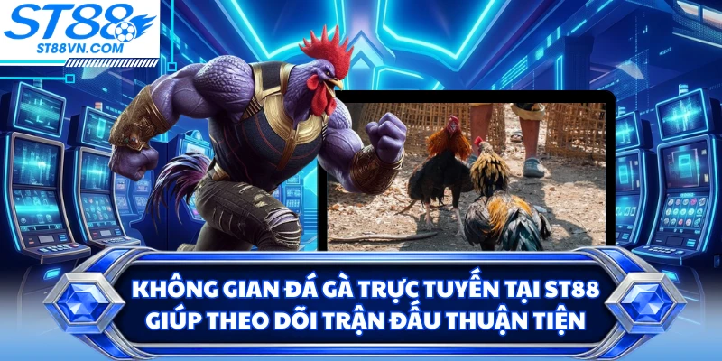Đá Gà Trực Tuyến ST88 - Trải Nghiệm Theo Dõi Trận Đấu Linh Hoạt