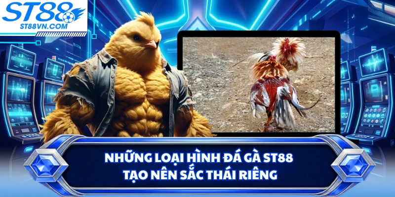 Đá Gà ST88 - Nhịp Đấu Kịch Tính Qua Từng Khoảnh Khắc