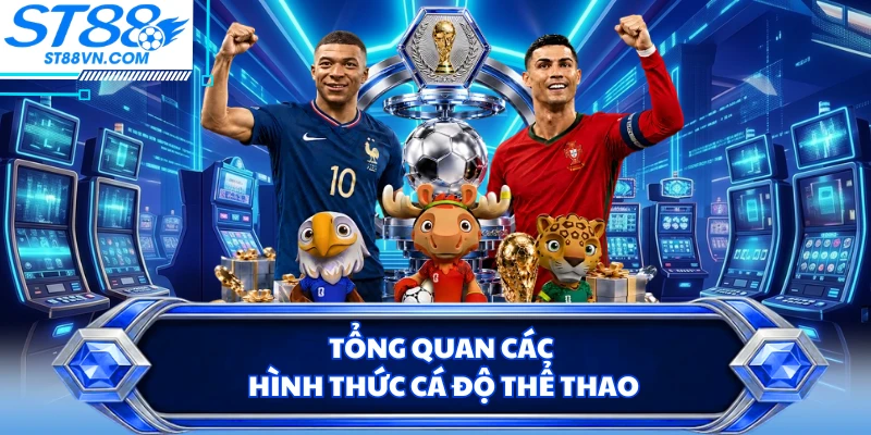 Cá Độ Thể Thao ST88 - Đọc Kèo, Phân Tích Trận Đấu Chính Xác