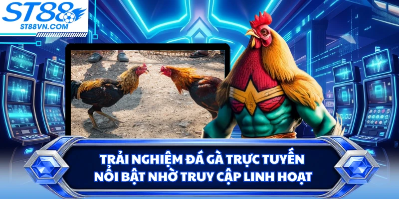 Đá Gà Trực Tuyến ST88 - Trải Nghiệm Theo Dõi Trận Đấu Linh Hoạt